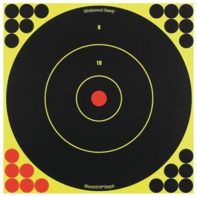 Birchwood Casey Shoot-N-C Targets 12" Round Bullseye, 12 Targets 288 Pasters